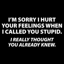 Quotes About Stupid People Meme Image 02