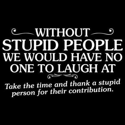 Quotes About Stupid People Meme Image 13