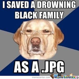 Racist Dog Meme Funny Image Photo Joke 05