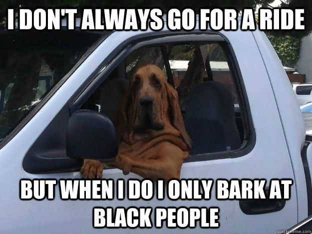 Racist Dog Meme Funny Image Photo Joke 07