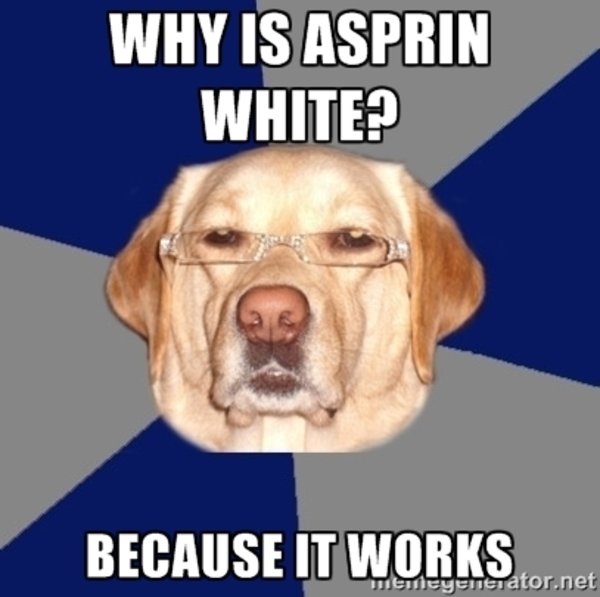 Racist Dog Meme Funny Image Photo Joke 08