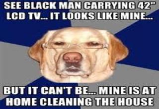 Racist Dog Meme Funny Image Photo Joke 10