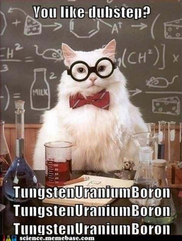 Science Cat Meme Funny Image Photo Joke 01