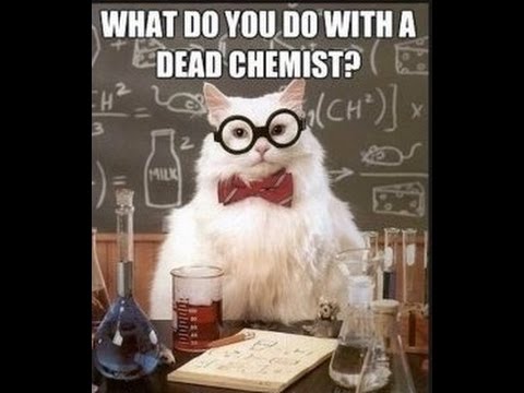 Science Cat Meme Funny Image Photo Joke 05