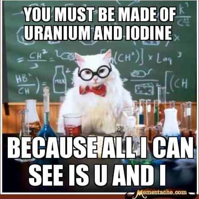 Science Cat Meme Funny Image Photo Joke 08