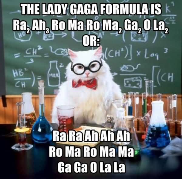 Science Cat Meme Funny Image Photo Joke 09