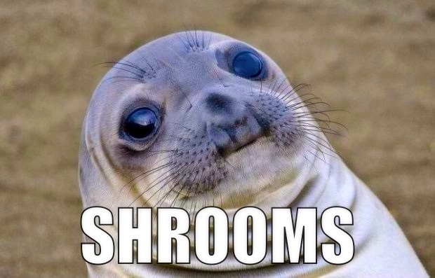 Shrooms Meme Funny Image Photo Joke 05
