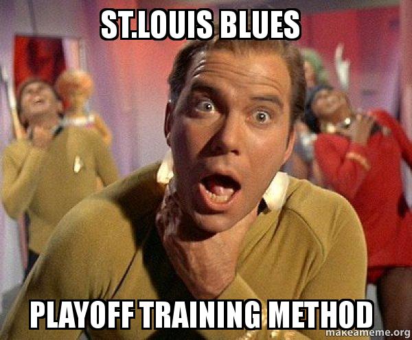 St Louis Blues Meme Funny Image Photo Joke 04
