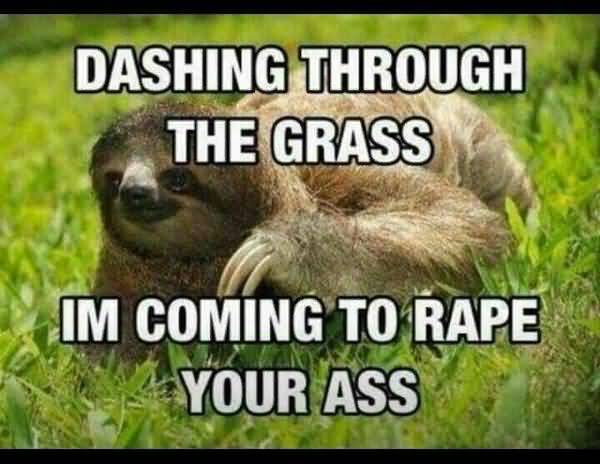 Very funny perverted sloth memes image