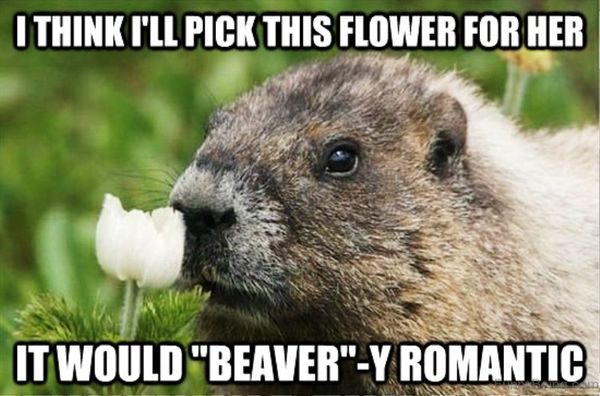Very funny romantic memes picture