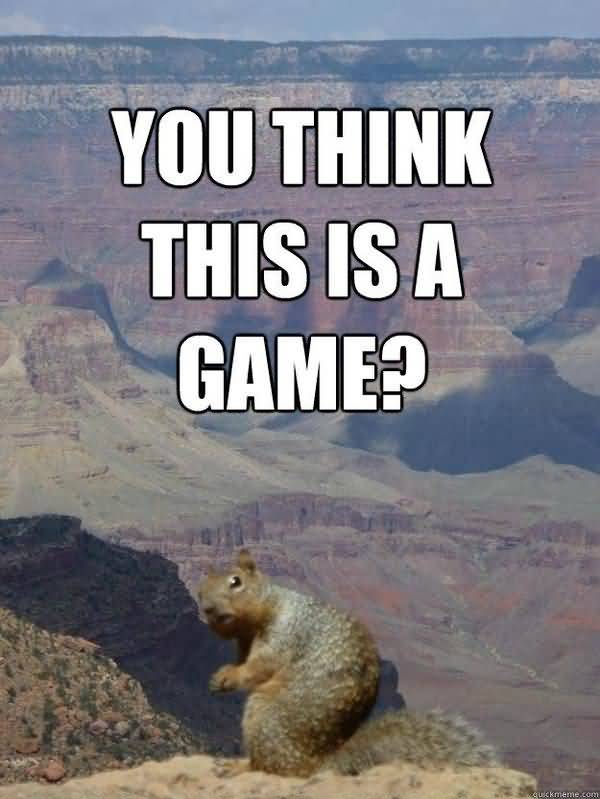 Very funny squirrel memes pictures