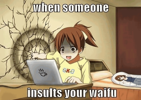 15 Top Waifu Meme Jokes Images and Pictures