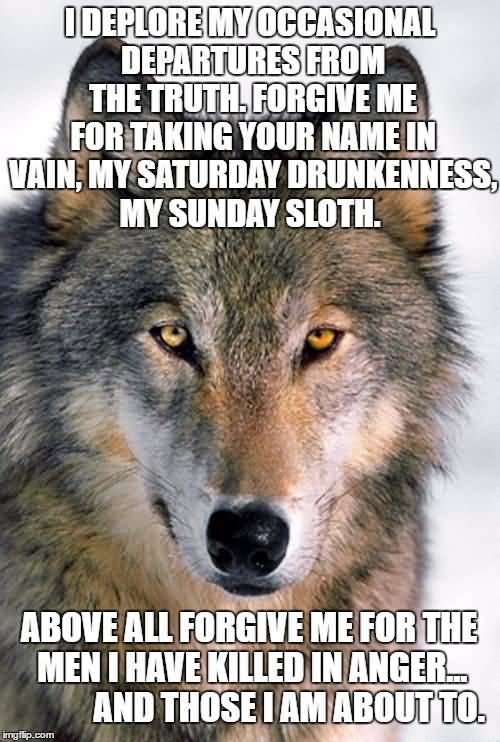 15 Top Wolf Meme Joke Images and Photos QuotesBae