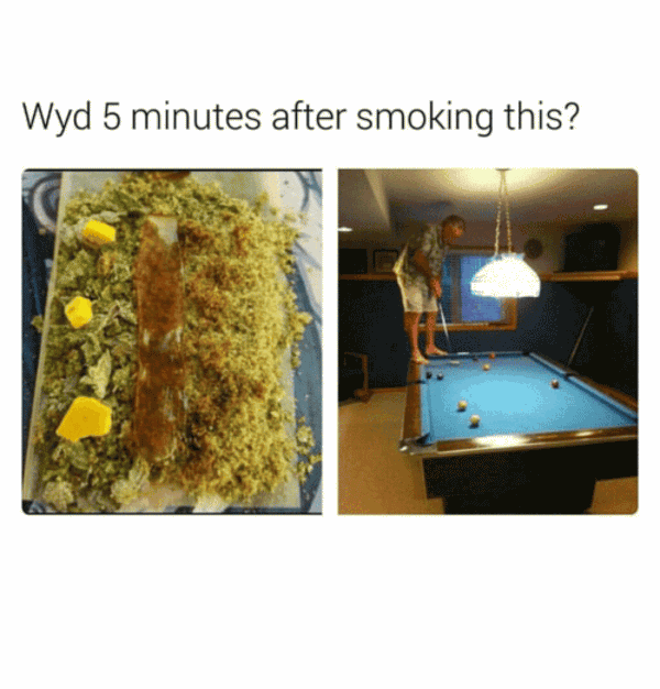 Wyd After Smoking This Meme Photo Joke 02