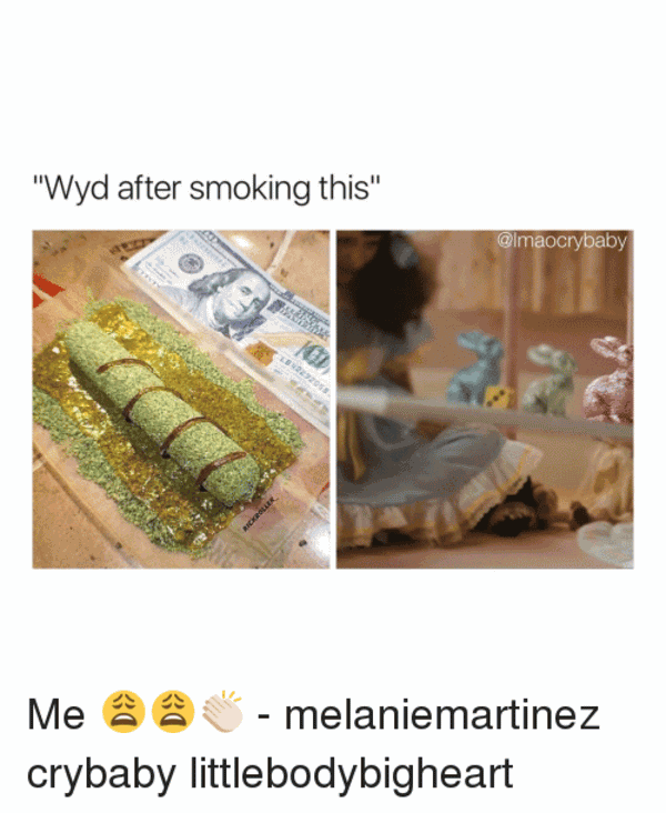 Wyd After Smoking This Meme Photo Joke 10