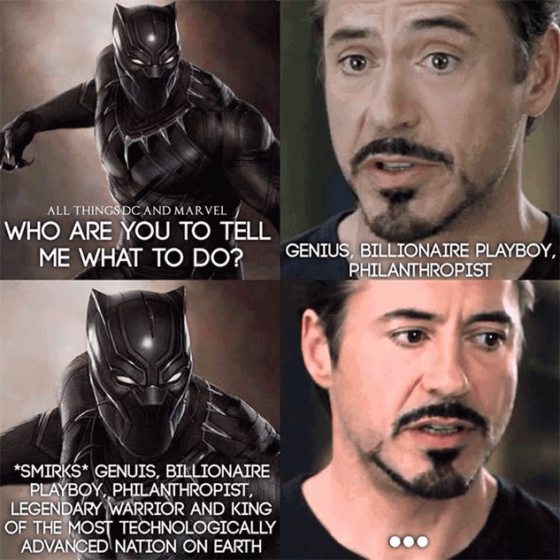 Black Panther Meme 14