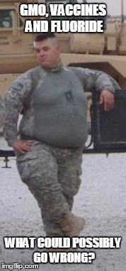 Fat Army Meme Funny Image Photo Joke 04