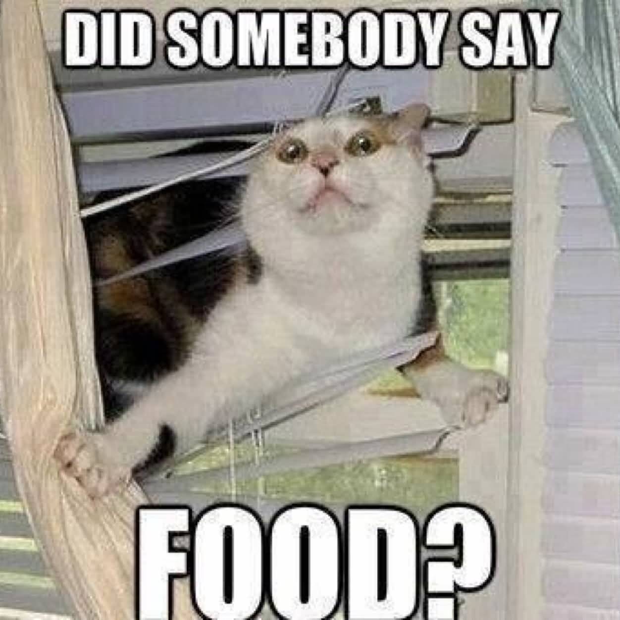 Funny Food Meme Image Photo Joke 10