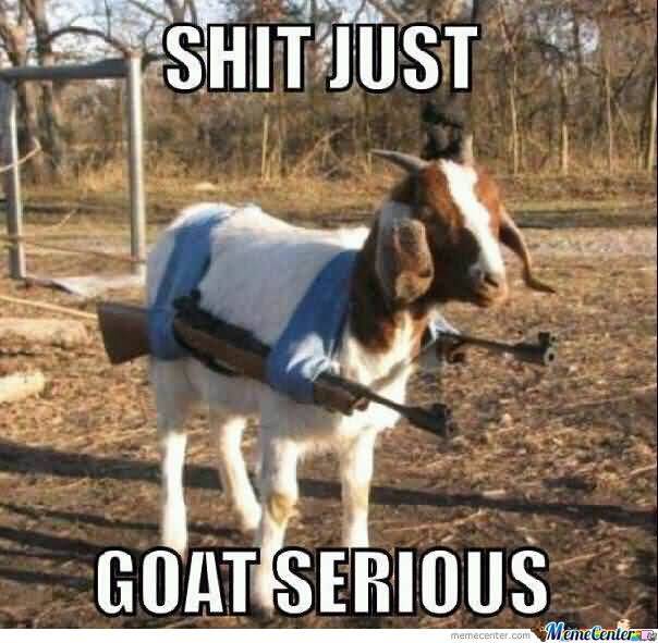 Funny Goat Meme Image Photo Joke 03