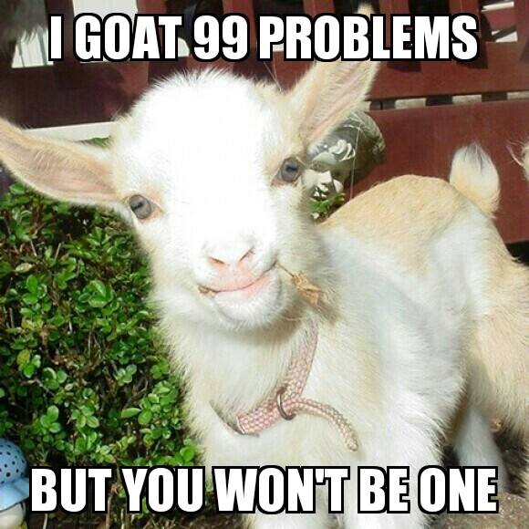 Funny Goat Meme Image Photo Joke 13