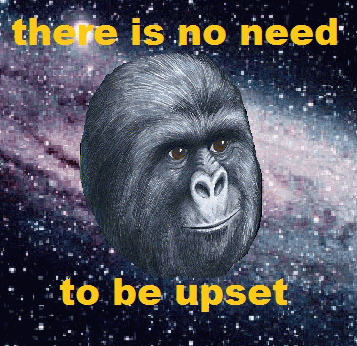 Gorilla Munch Meme Funny Image Photo Joke 03