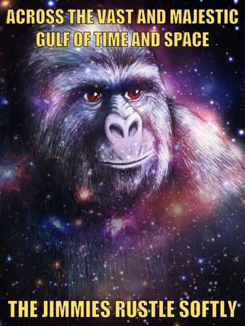 Gorilla Munch Meme Funny Image Photo Joke 04