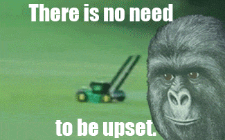 Gorilla Munch Meme Funny Image Photo Joke 06