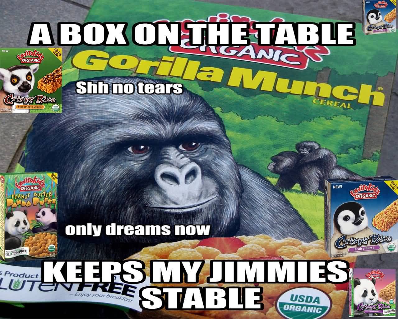 Gorilla Munch Meme Funny Image Photo Joke 12