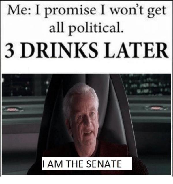 I Am The Senate Meme Image Photo Joke 13