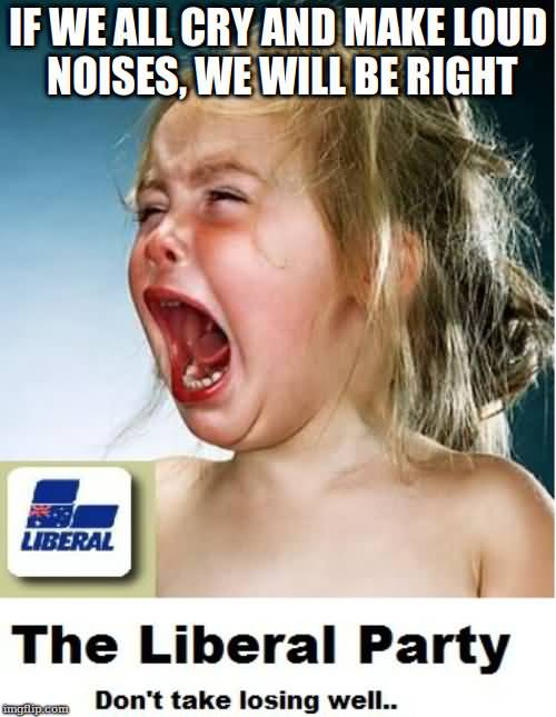 Liberals Crying Meme Funny Image Photo Joke 01