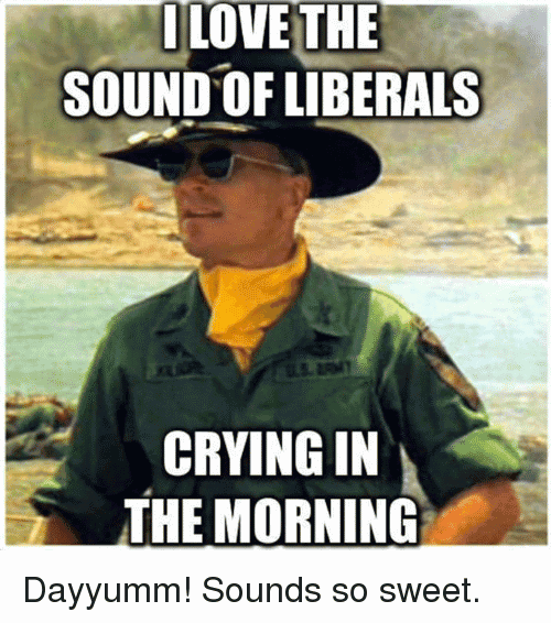 Liberals Crying Meme Funny Image Photo Joke 02