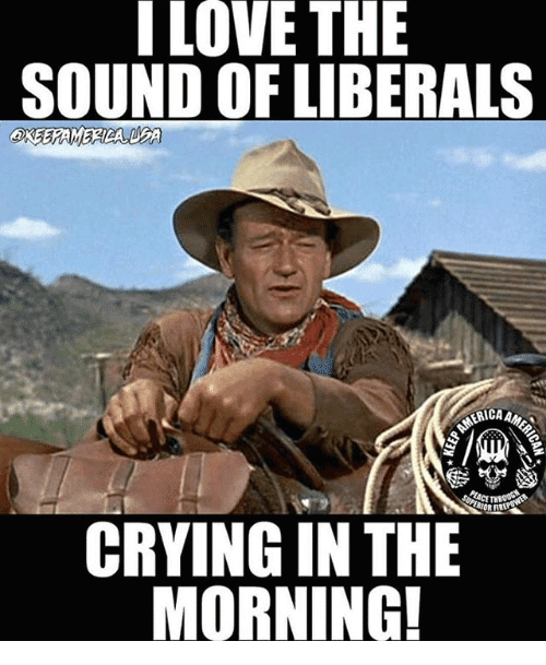 Liberals Crying Meme Funny Image Photo Joke 05