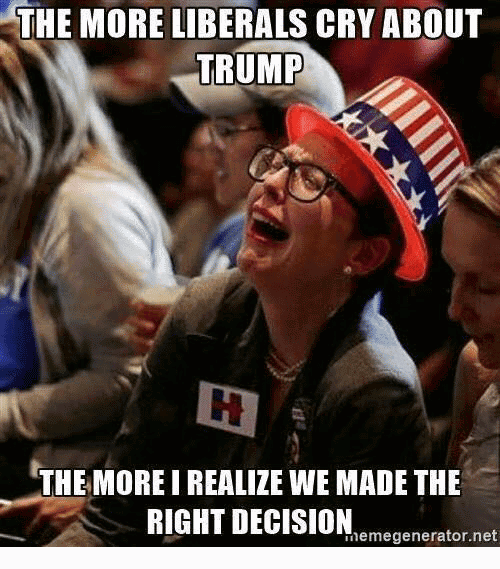 Liberals Crying Meme Funny Image Photo Joke 07