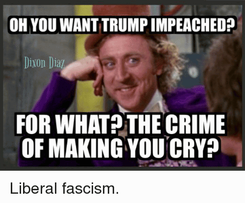 Liberals Crying Meme Funny Image Photo Joke 08