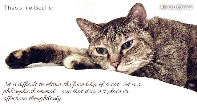 Quotes About Pets And Friendship 07