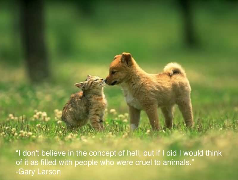 Quotes About Pets And Friendship 10