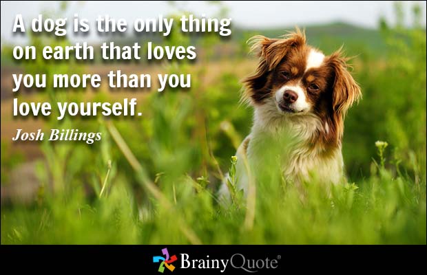 Quotes About Pets And Friendship 11