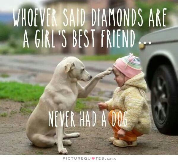 Quotes About Pets And Friendship 20