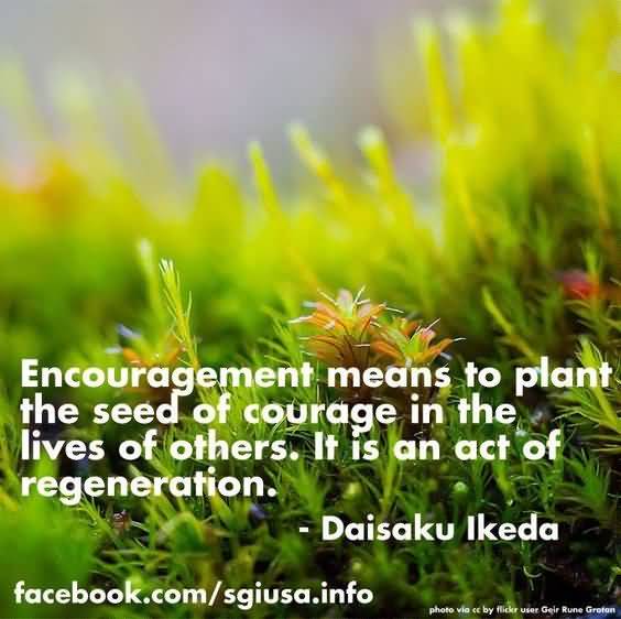 Quotes About Planting Seeds For Life 12