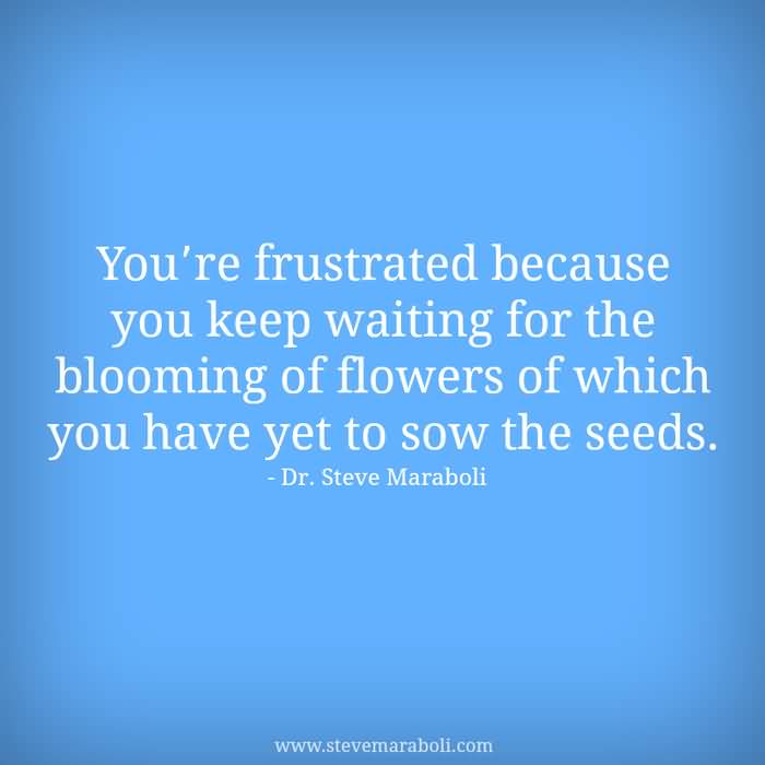 20 Quotes About Planting Seeds For Life Pictures