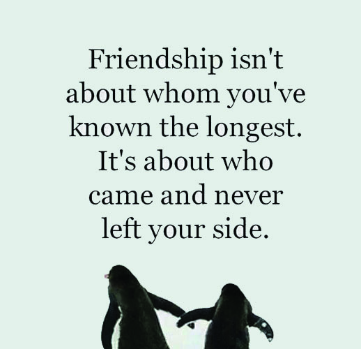 Quotes About The Importance Of Friendship 04