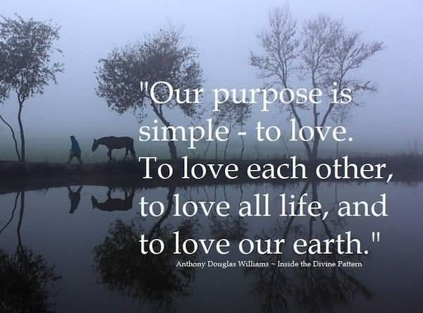 Quotes About The Purpose Of Life 09
