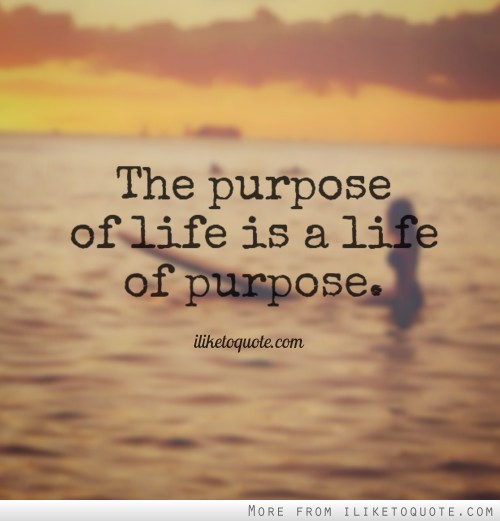 Quotes About The Purpose Of Life 17