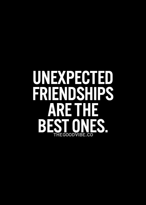 20 Quotes About Unexpected Friendship Sayings | QuotesBae