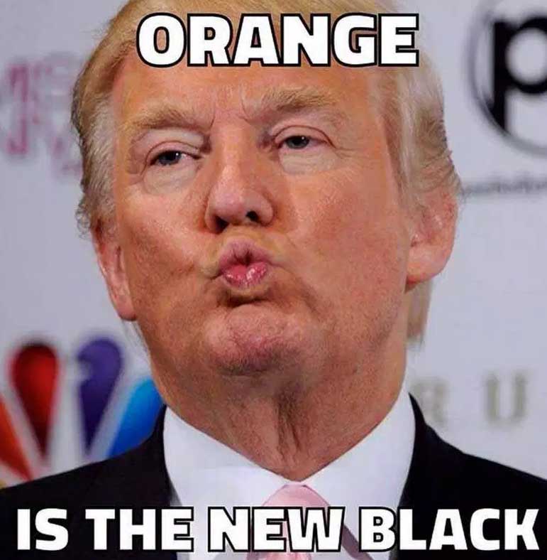Trump Meme Funny Image Photo Joke 10