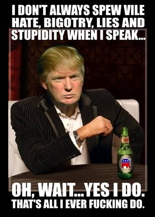 Trump Meme Funny Image Photo Joke 12
