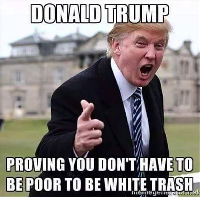 Trump Meme Funny Image Photo Joke 13