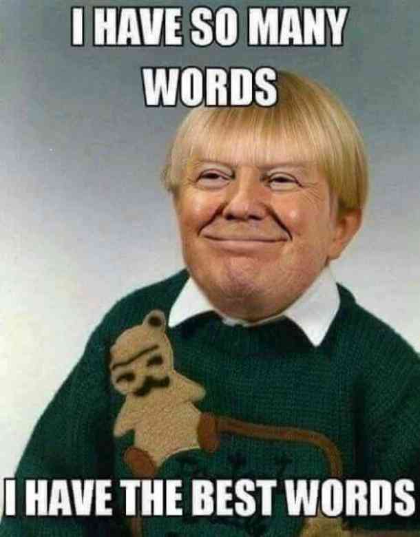 Trump Meme Funny Image Photo Joke 15
