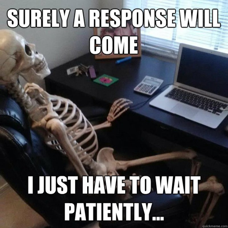Waiting Skeleton Meme Funny Image Photo Joke 01