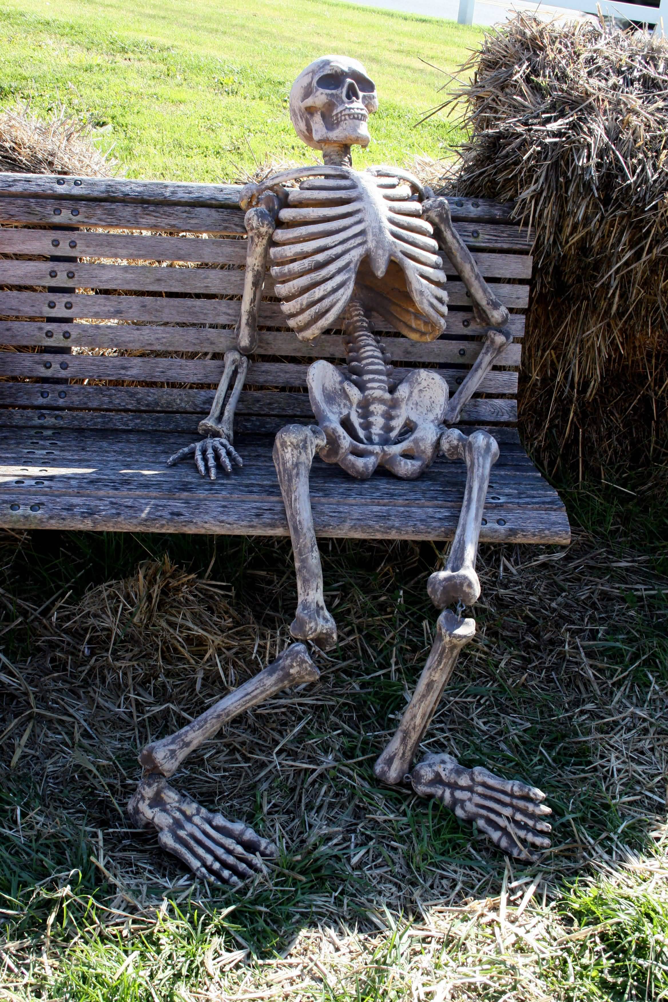 Waiting Skeleton Meme Funny Image Photo Joke 12